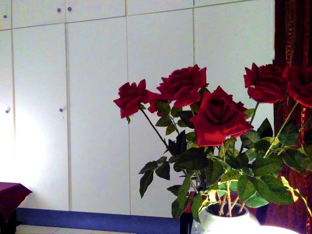 S.D Apartment 2 Lávrion エクステリア 写真